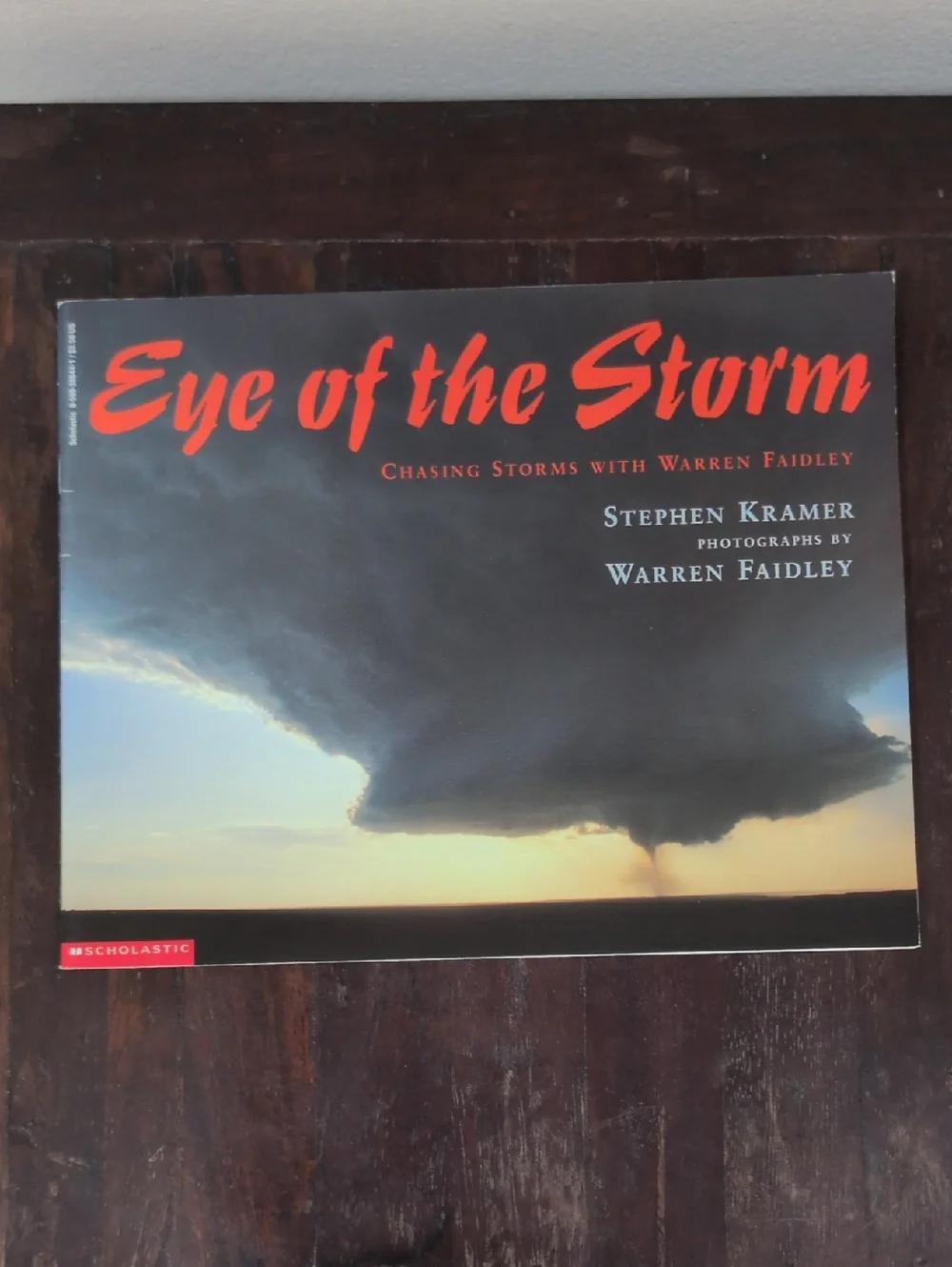 Scholastic Paperback Book Set of 12 Weather Themed Used Books